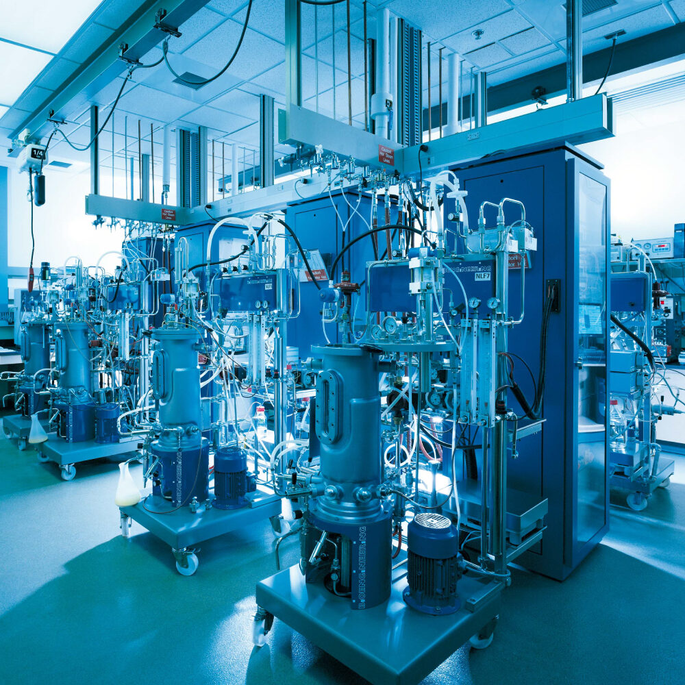 Pilot Bioreactor/Fermenter